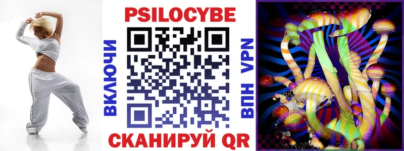 купить  цена  Сысерть  Псилоцибиновые грибы Psilocybe 